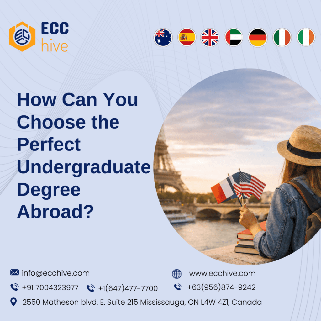 undergraduate degree