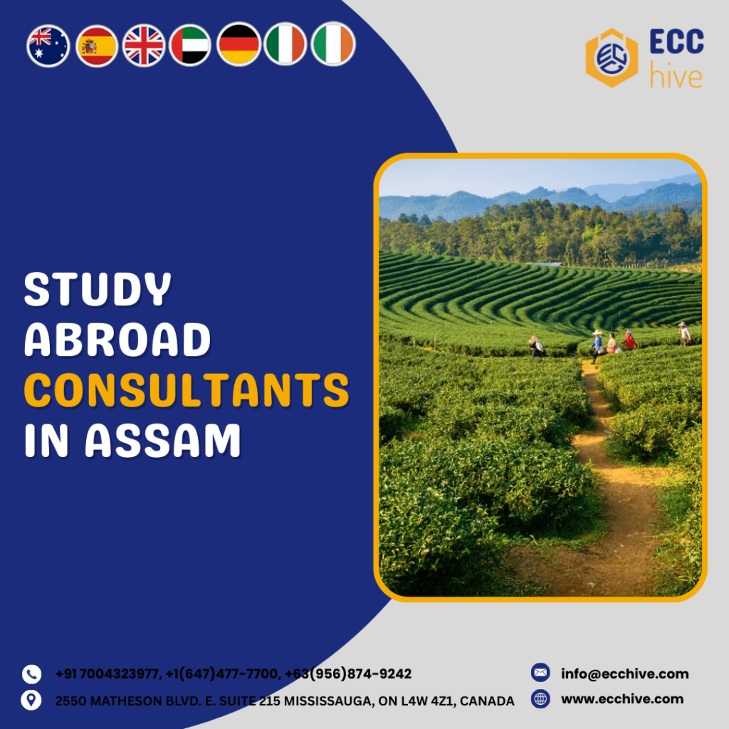 Consultants in Assam