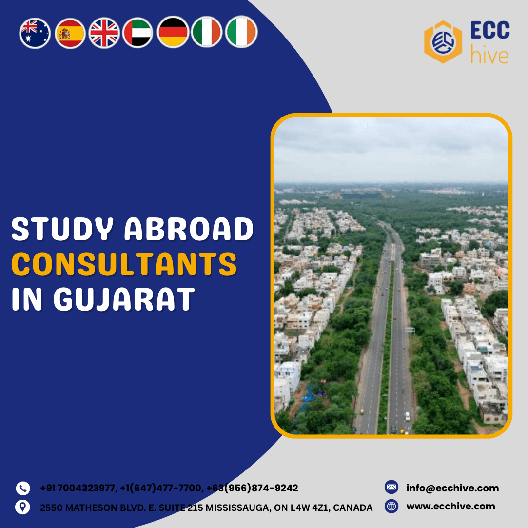 Consultants in Gujarat