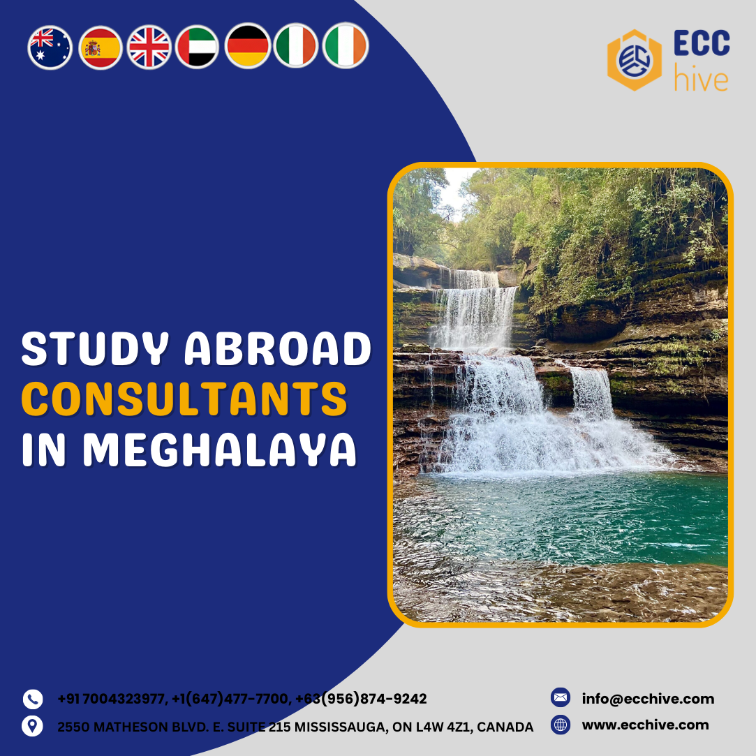 Consultants in Meghalaya