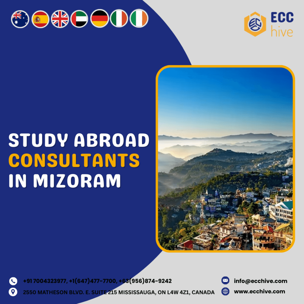 Consultants in Mizoram