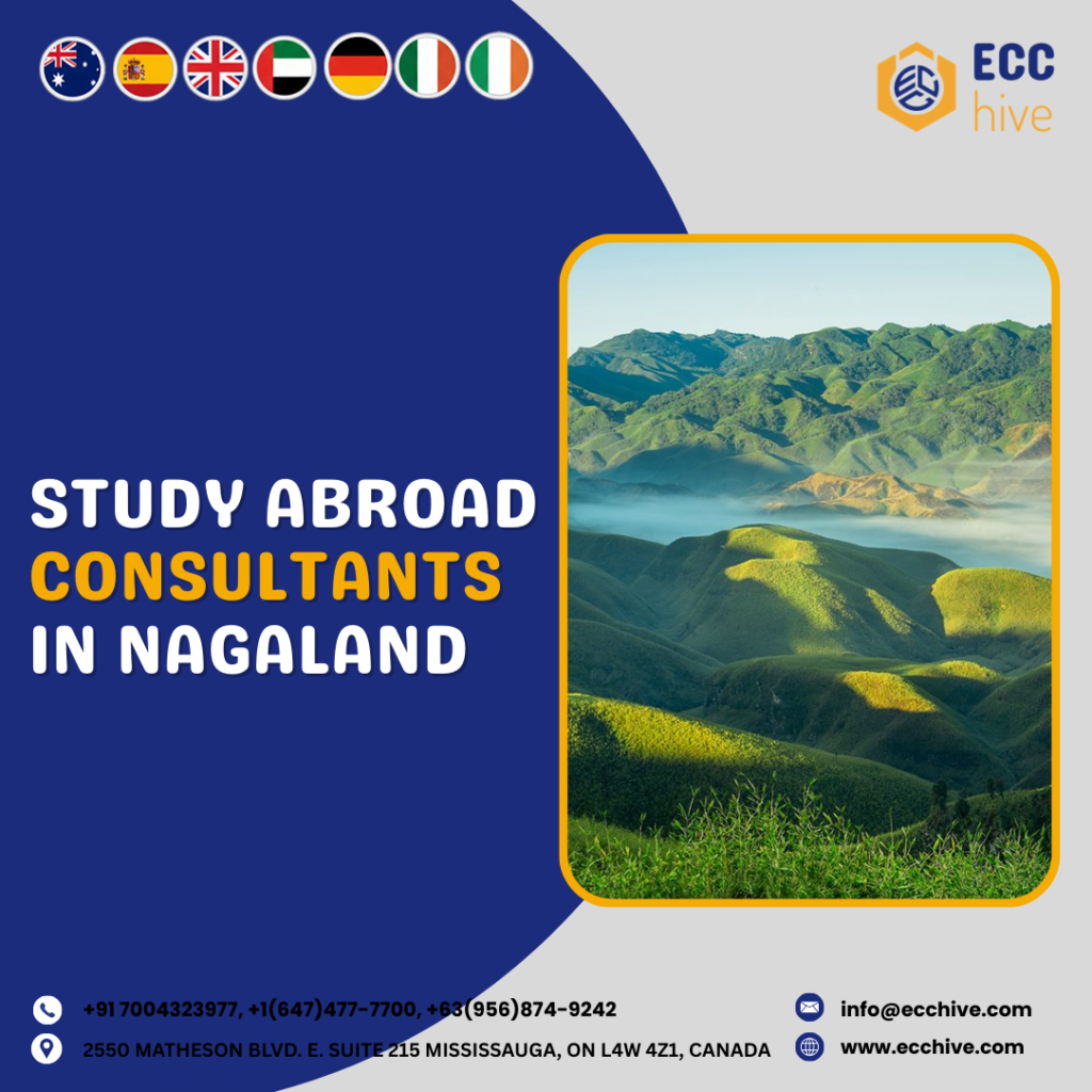 Consultants in Nagaland