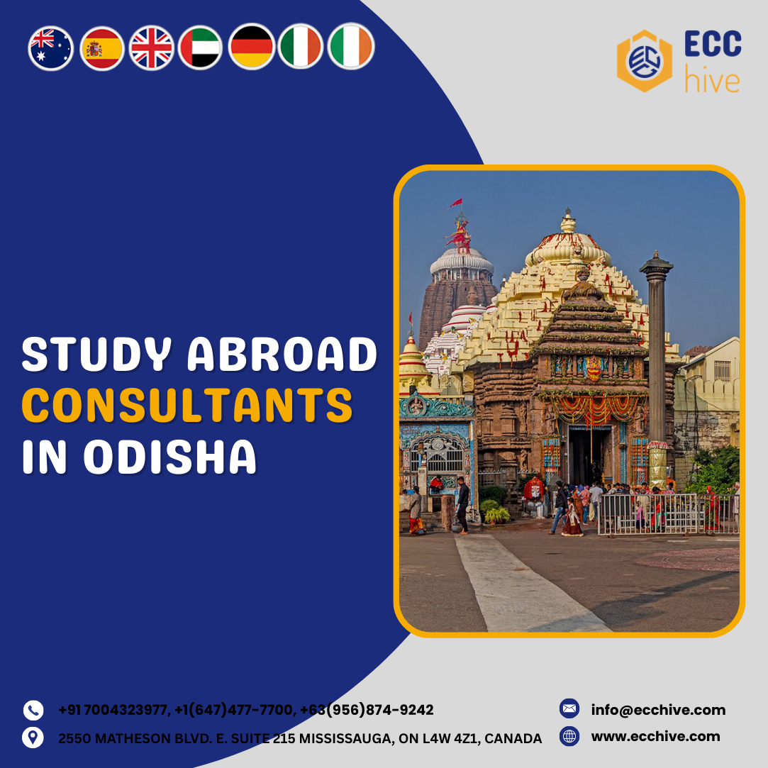 Consultants in Odisha