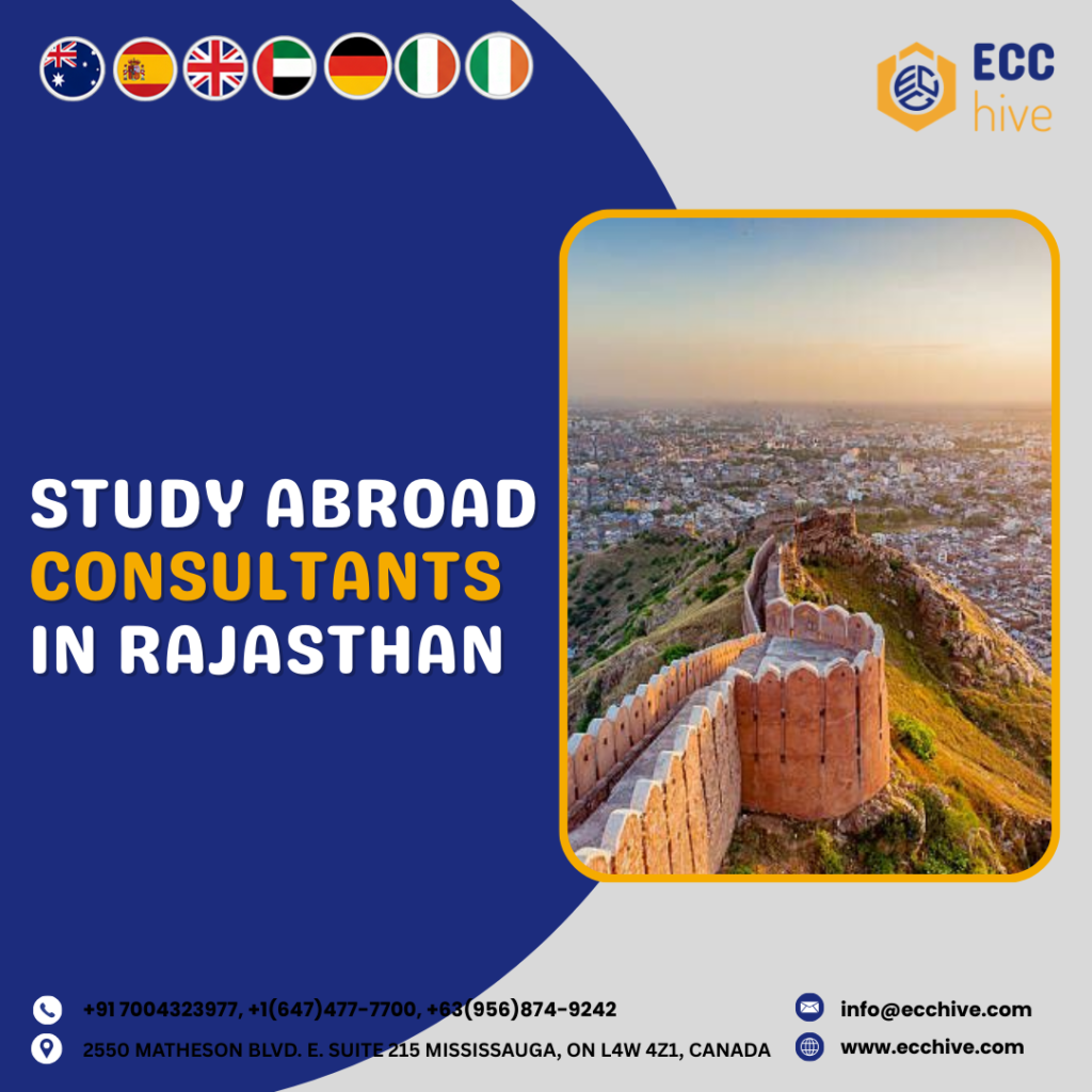 Consultants in Rajasthan