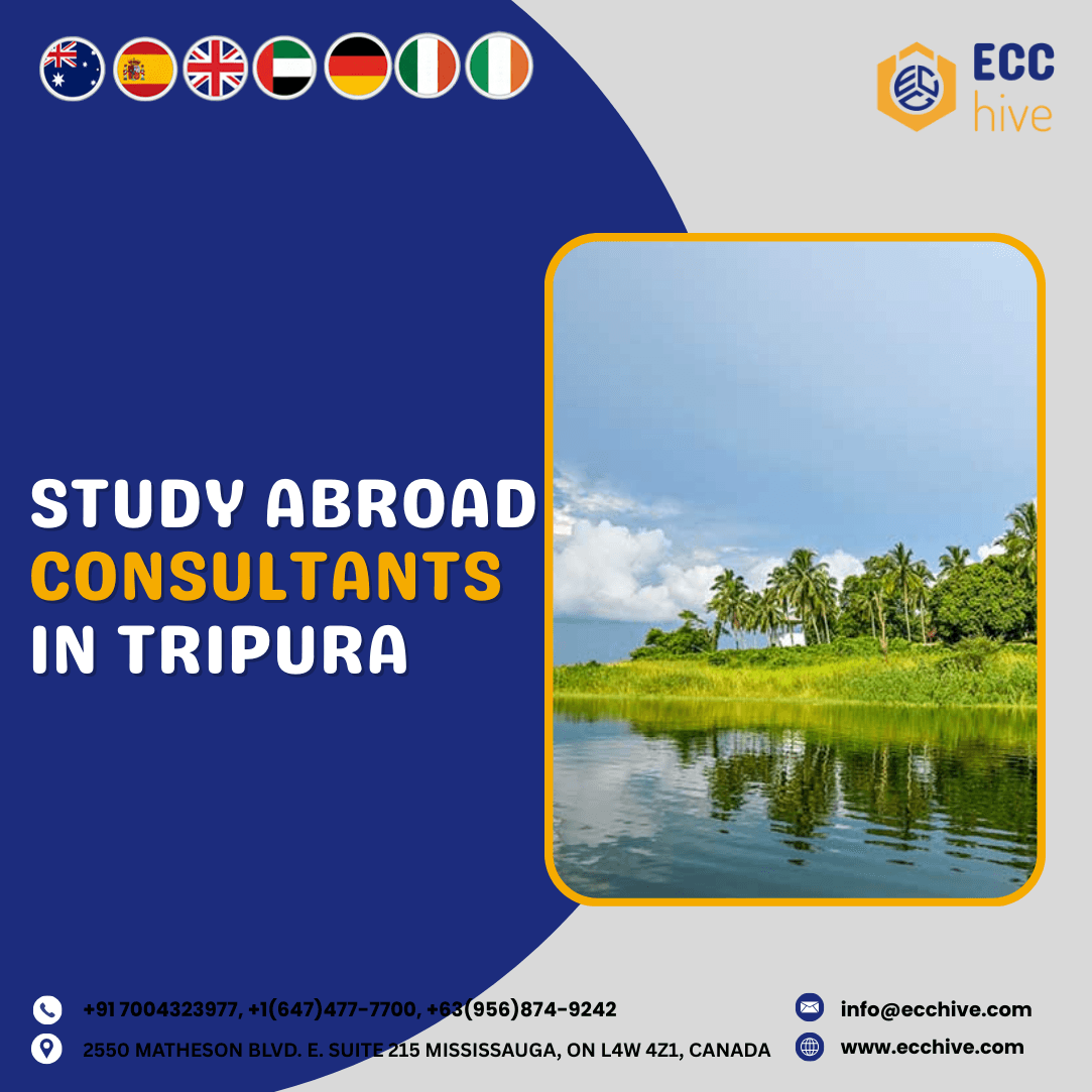 Consultants in Tripura